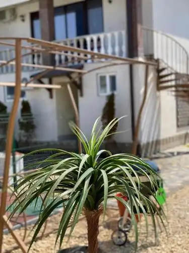 Verona House - 13