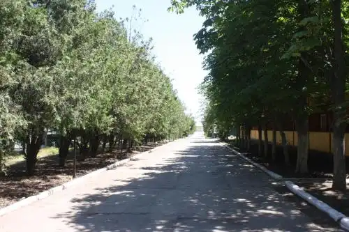 Yantar Tourist base - 36