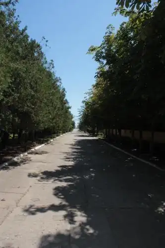 Yantar Tourist base - 61