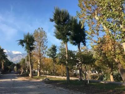 Barby Butik Otel - 19