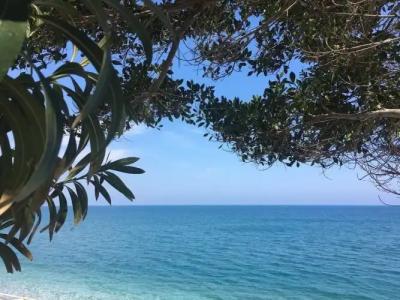 Barby Butik Otel - 16