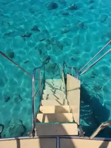 Alice Tatil Evi - 17