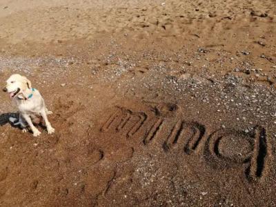 Mina Apart Otel - 61