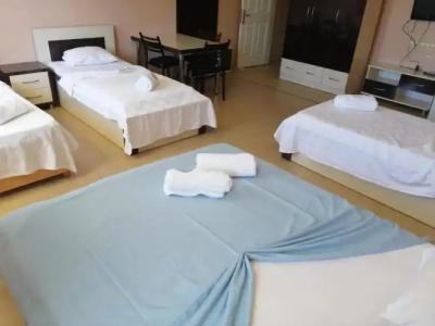 Mina Apart Otel - 55