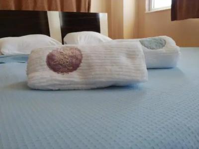 Mina Apart Otel - 59