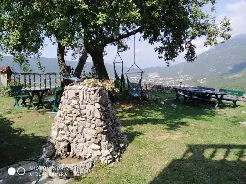Villa Wolf Brave (Hrabri Vuk) - 8