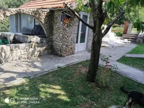 Villa Wolf Brave (Hrabri Vuk) - 12