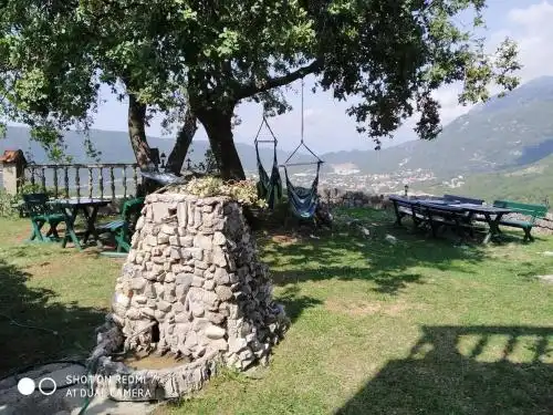 Villa Wolf Brave (Hrabri Vuk) - 141