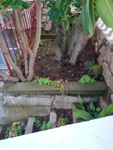 Vila Montenegro - 38