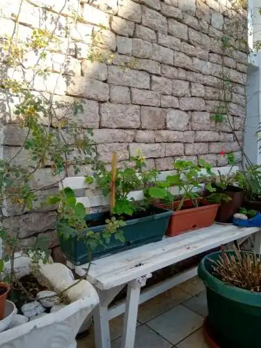 Vila Montenegro - 44