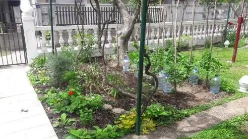 Vila Montenegro - 40