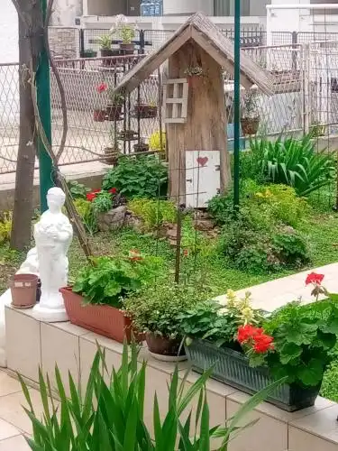 Vila Montenegro - 26