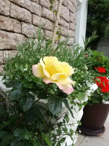 Vila Montenegro - 25