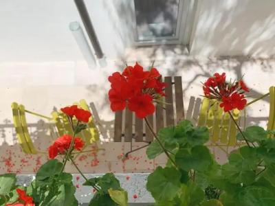 Dimora Cummà Marì - 45