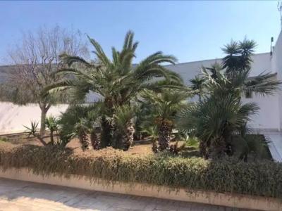 B&B Resort Signorile - 17