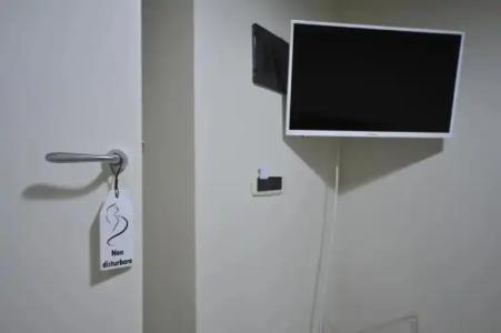 Gatto Bianco Duchessa - 96