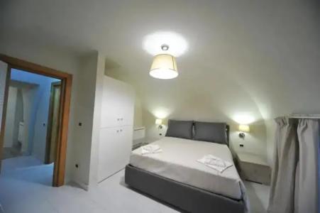 Gatto Bianco Duchessa - 55