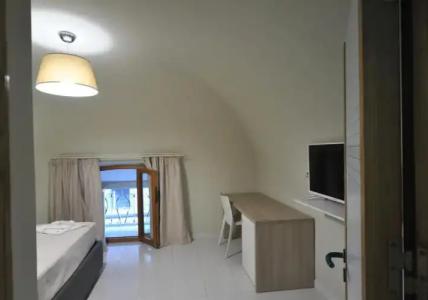 Gatto Bianco Duchessa - 54