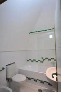 Gatto Bianco Duchessa - 62