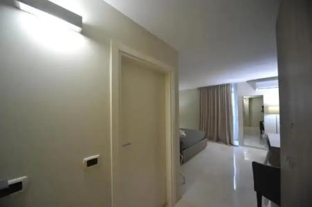 Gatto Bianco Duchessa - 80