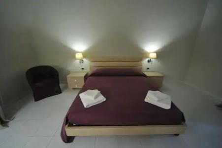 Gatto Bianco Duchessa - 67