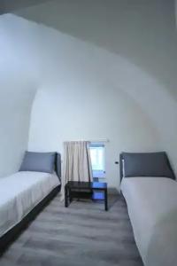 Gatto Bianco Duchessa - 56