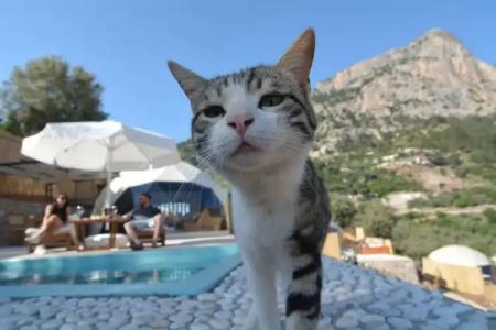 Kabak Freedom Deluxe - 10