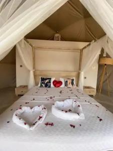 Kabak Freedom Deluxe - 4