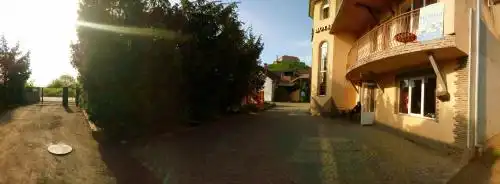 Паланок - 19