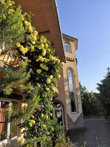 Паланок - 9