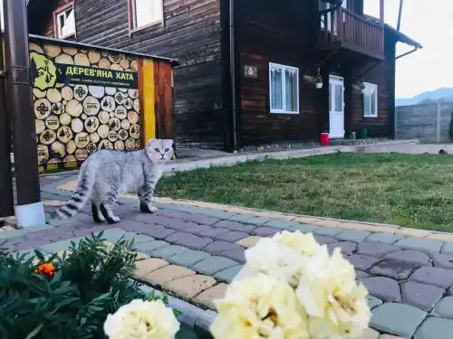садиба Дерев*яна Хата - 21