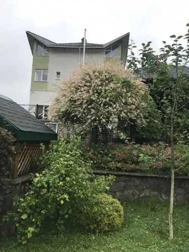 ЯрДана - 2