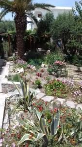 Tilemachos Rooms & Studios - 42