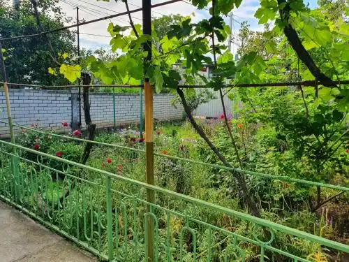 Taisiya Guest House 2 - 32