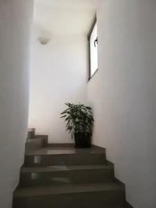 Yeshill Apart & Studio - 9