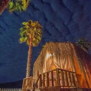 The Hill Glamping Bungalow - 72