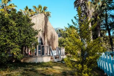 The Hill Glamping Bungalow - 81