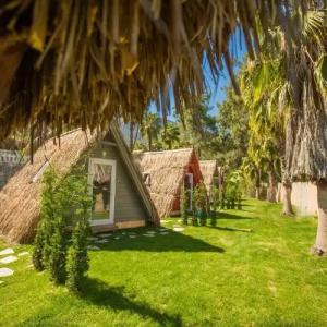 The Hill Glamping Bungalow - 51