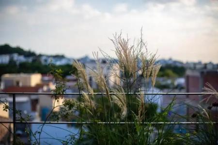 The Foundry Suites - 145