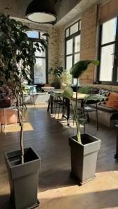 Iconic Athens Hostel - 49