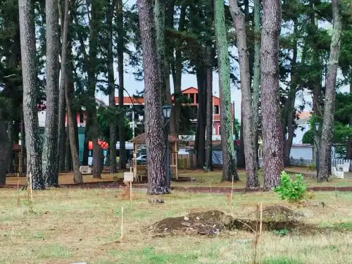 Pichvnari Guest House - 32