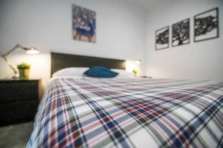 Quattro Briganti - 157