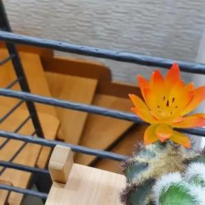 Vittoria Guest House - 79