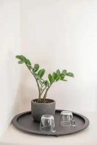 Rania Apartments Sea View - 46