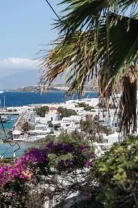 Rania Apartments Sea View - 17