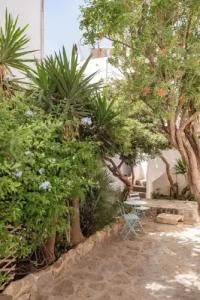 Rania Apartments Sea View - 43