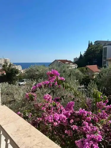 Guesthouse Villa Tamburic - 2