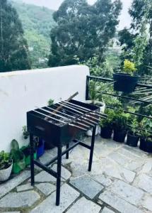 Evkalipt Kvariati Villa - 12