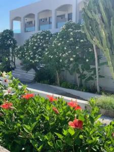 Pals Studios Pefkos - 46