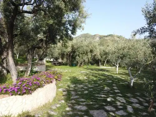 Il Mandorlo Farm - 14